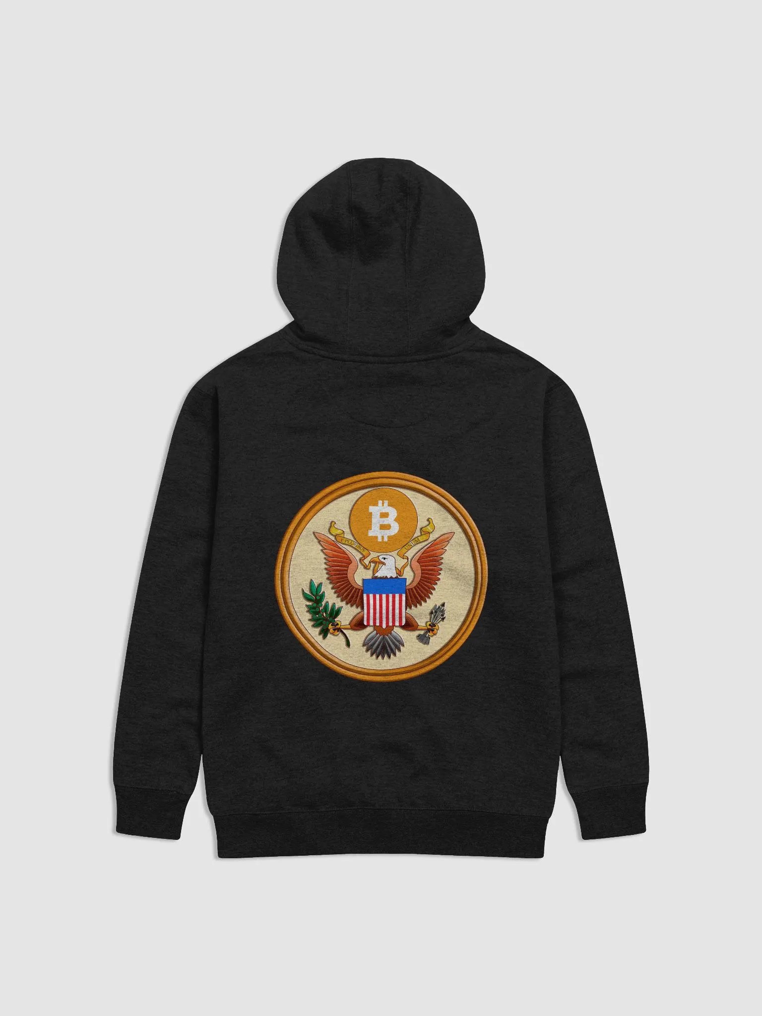 SBR Logo Hoodie product image (2)