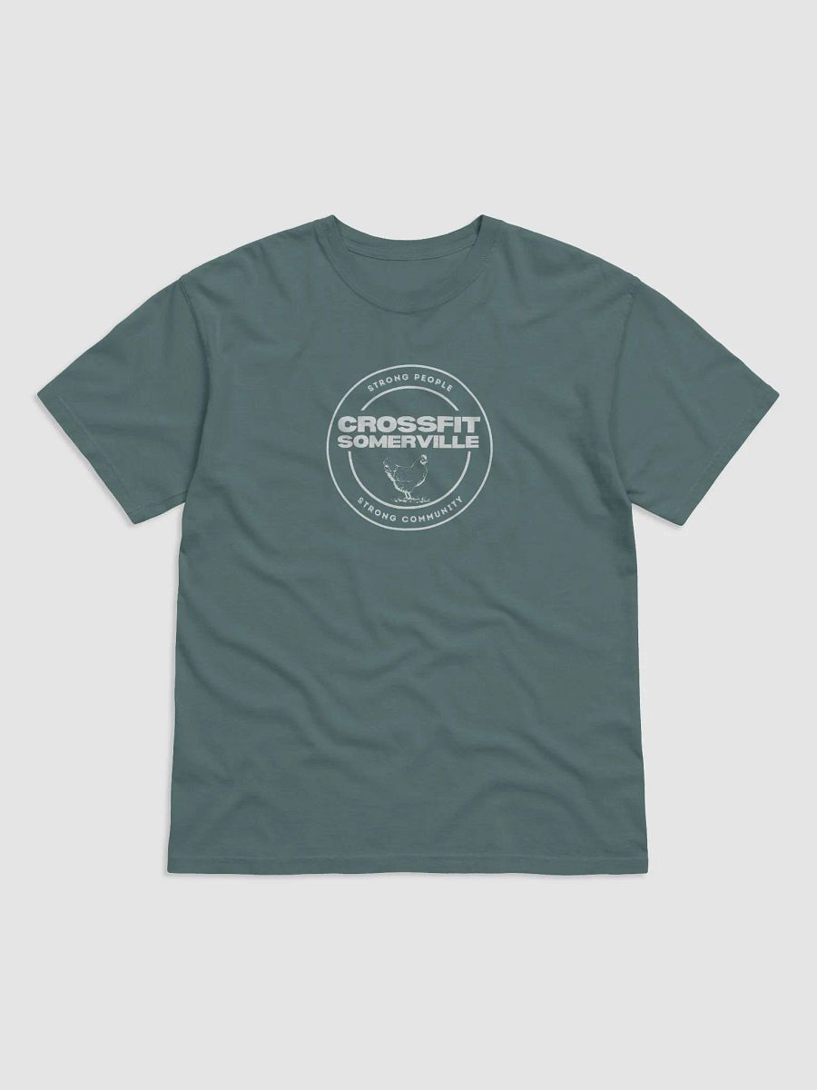 CFSV Classic T-Shirt (Comfort Colors) product image (2)