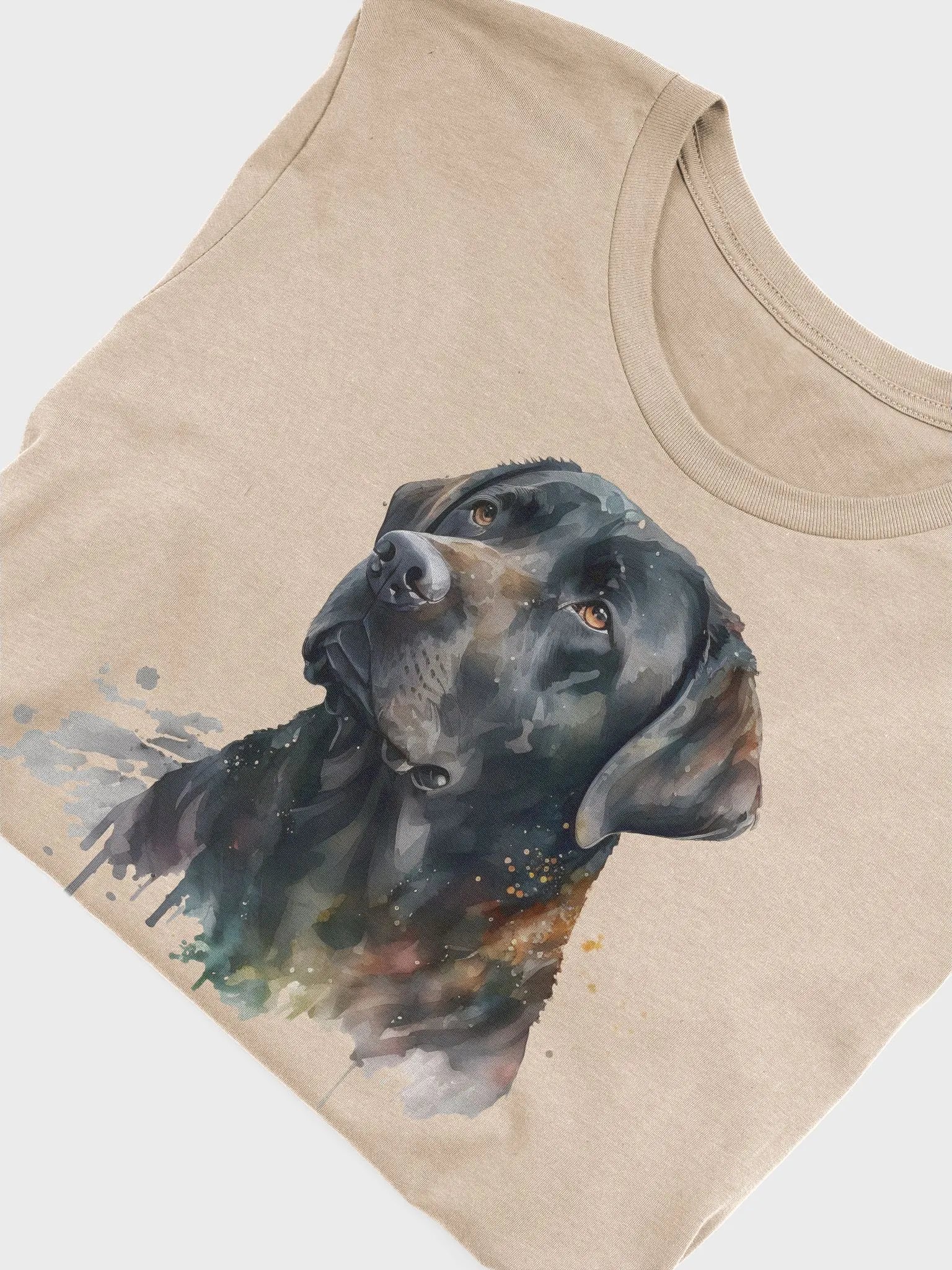 Black Lab product image (3)