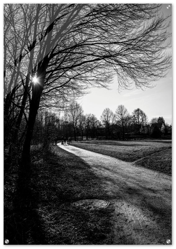 BLACK AND WHITE TREE ACRYLIC PRINT product image (1)