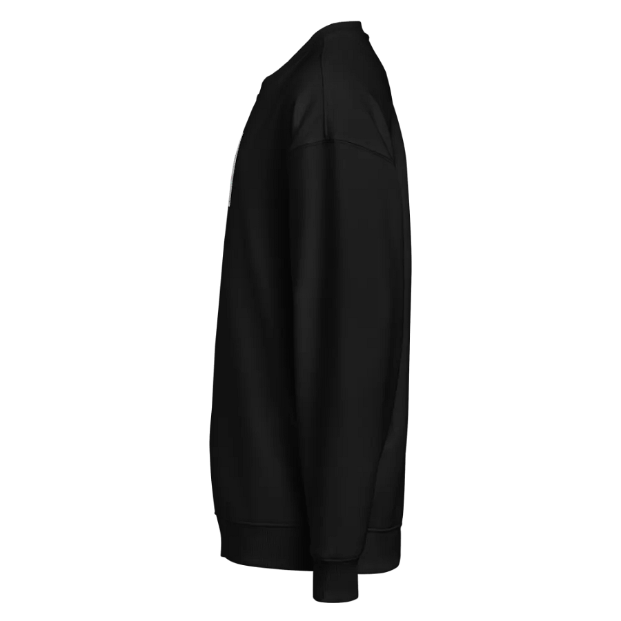Kid Airplane (Stanley/Stella Unisex Organic Oversized Sweatshirt) product image (6)