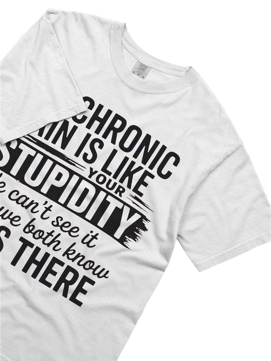 MY CHRONIC PAIN IS LIKE YOUR STUPIDITY We can't see it but we both know IT'S THERE T-shirt product image (3)