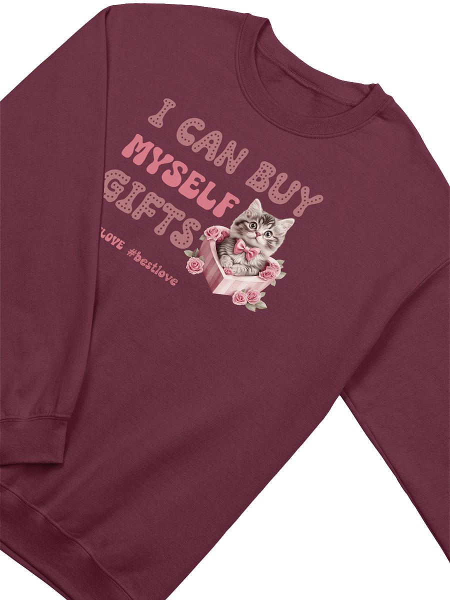 Funny Cat Valentine's day sweatshirt - I can buy myself gifts product image (2)