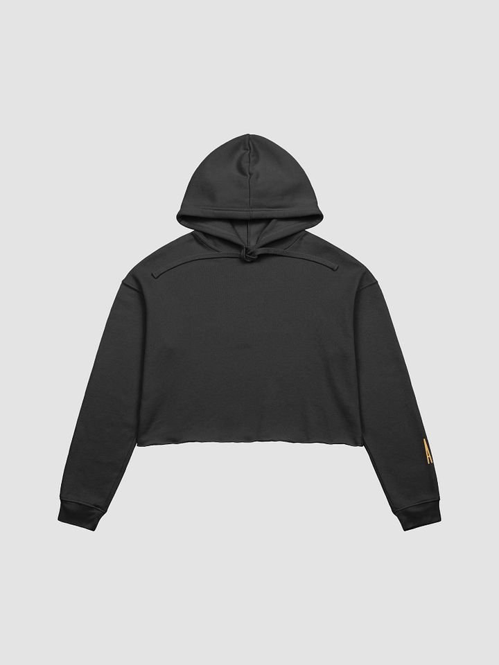 AI COULD NEVER - Crop Hoodie product image (2)