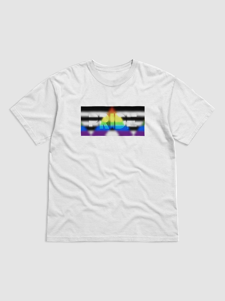 Straight Ally Pride On Display - T-Shirt product image (1)