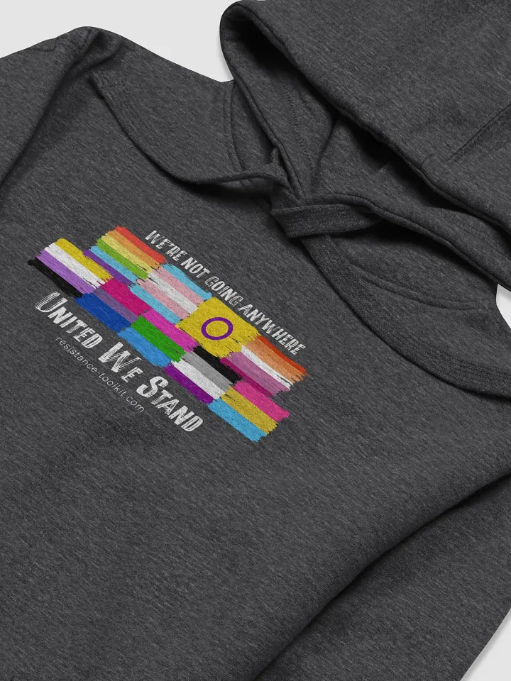 United We Stand - Hoodie product image (2)