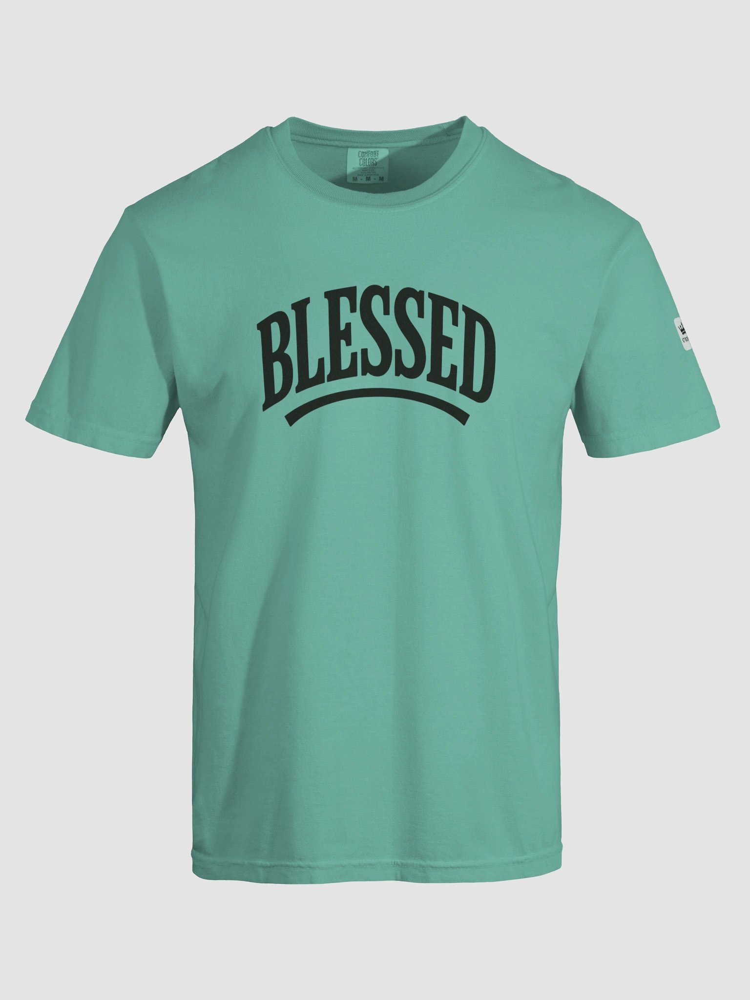 Blessed T-Shirt with Black Graphic product image (7)