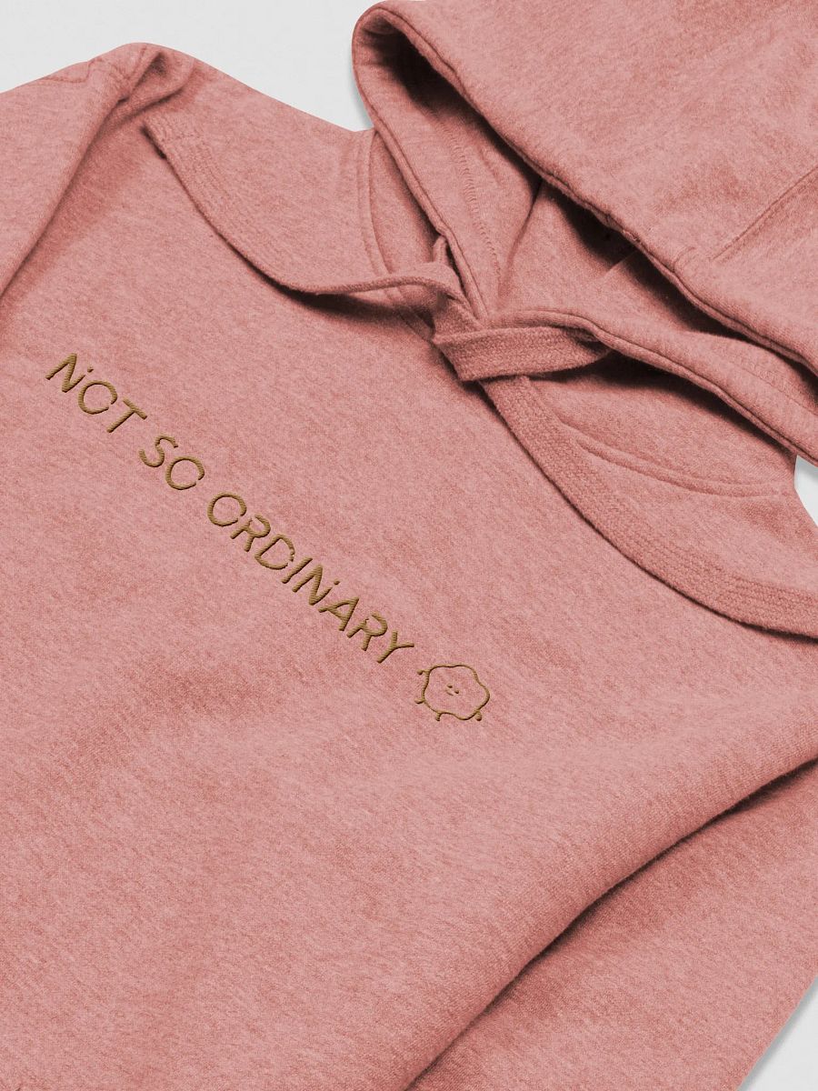 No ordinary Hoodie product image (9)