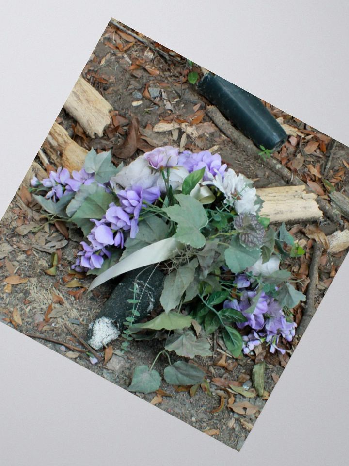 The Cockroach Named Hope product image (5)
