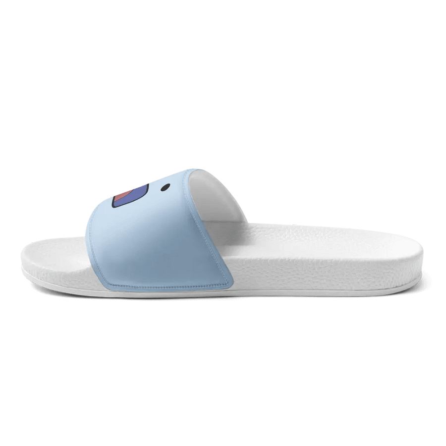 D: slides product image (7)