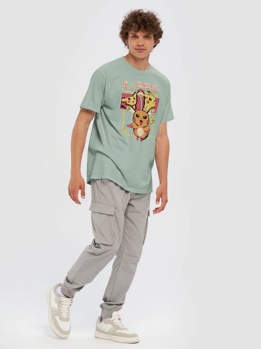 Pichu, Pikachu, and Raichu Evolution product image (96)