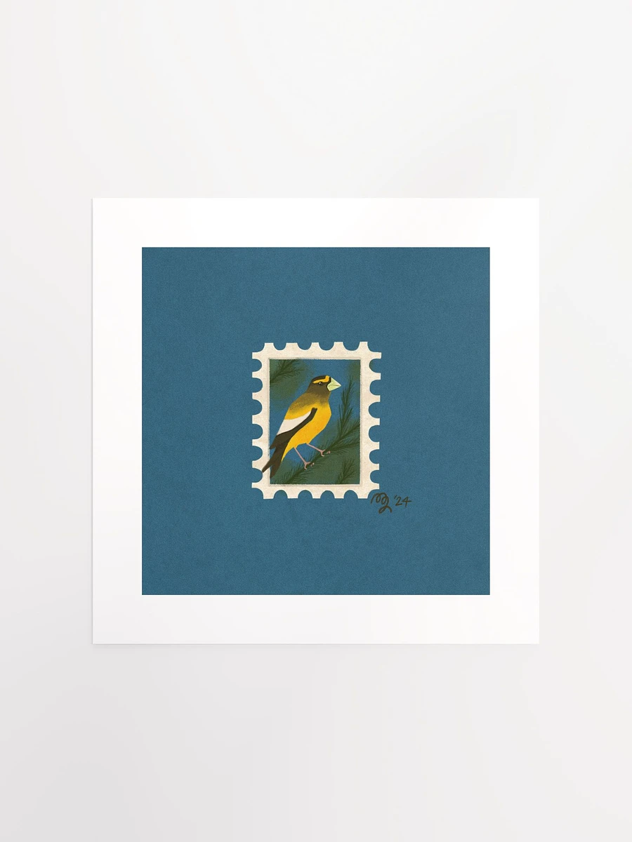 Evening Grosbeak Stamp Print – Birbfest 2024 product image (2)