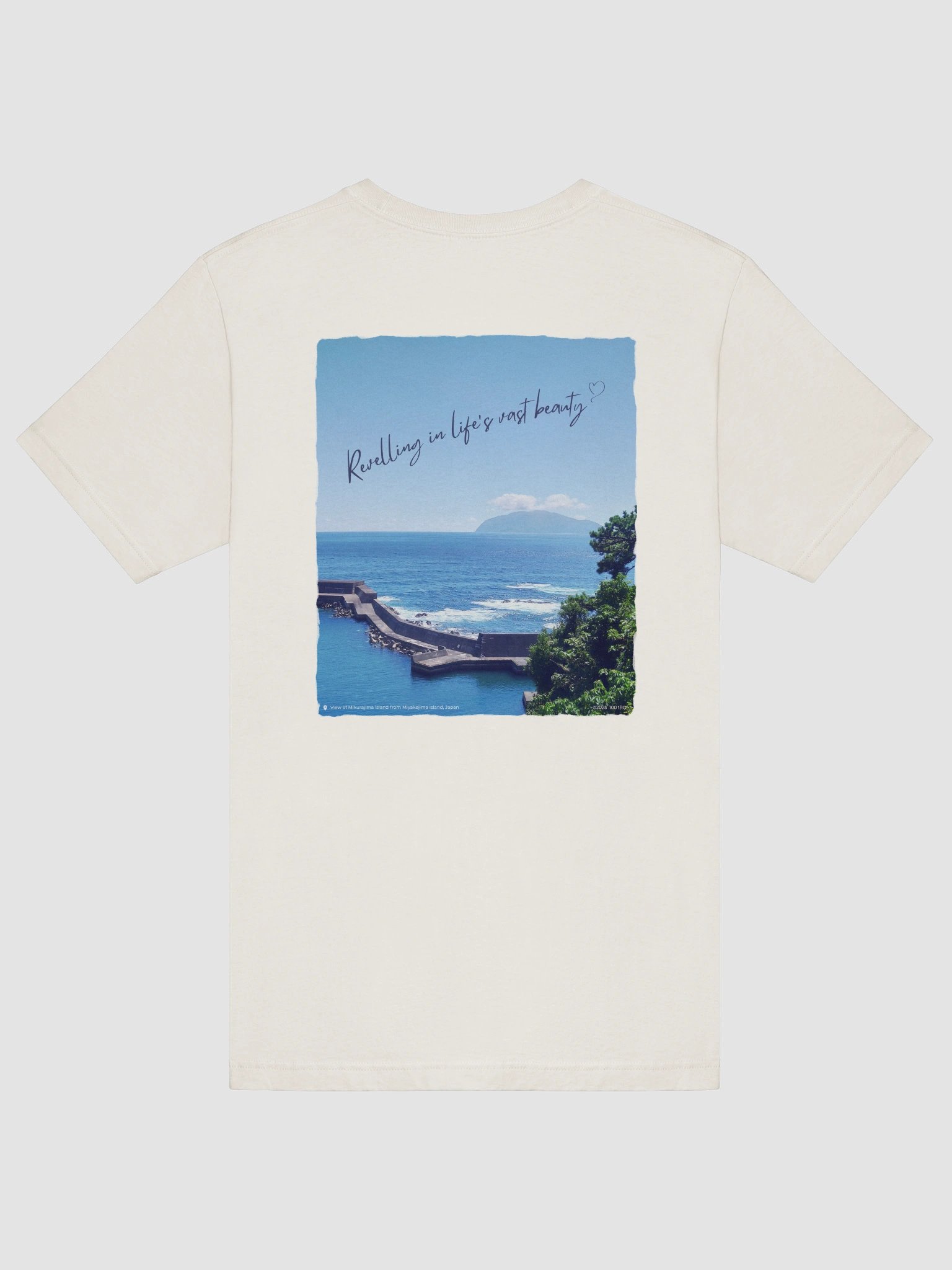 Revelling in Life's Vast Beauty (Unisex Tee) product image (8)