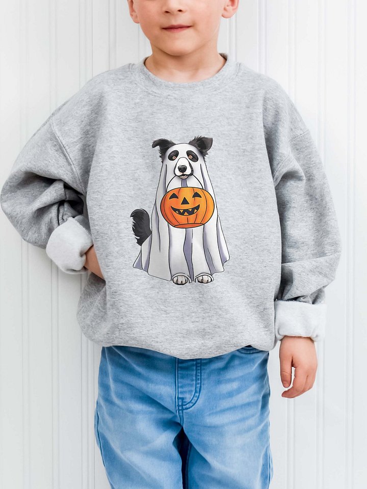 Halloween Border Collie Youth Sweatshirt product image (1)