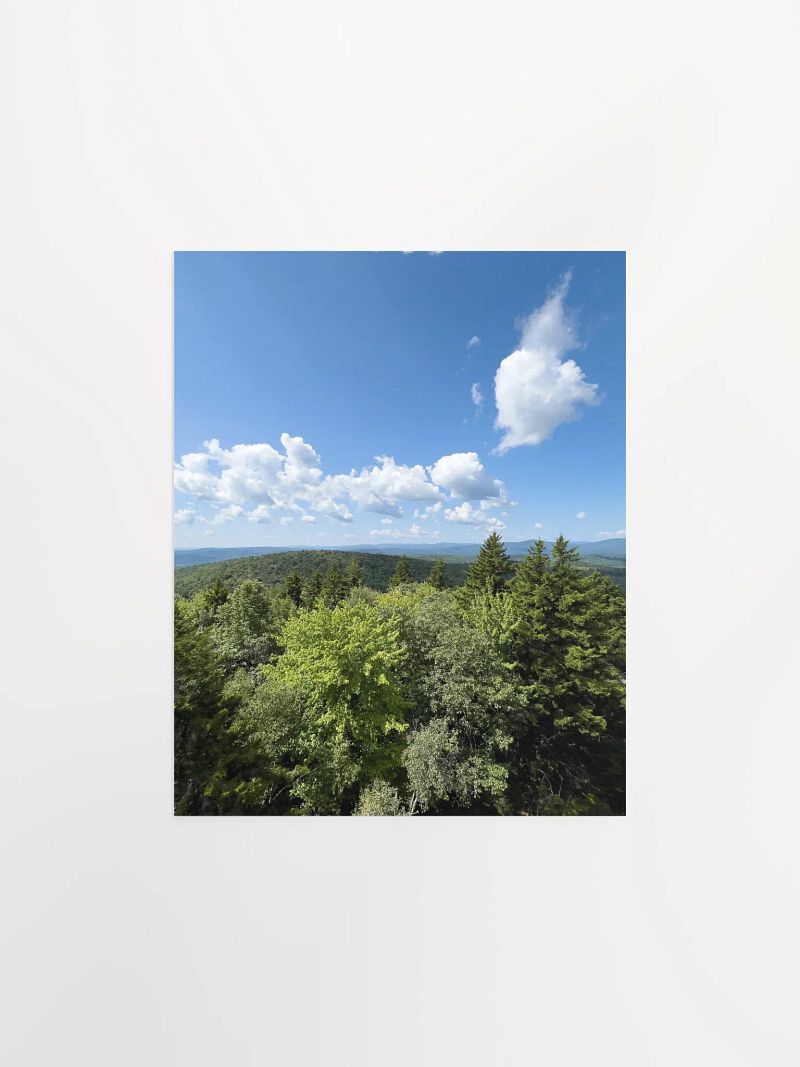 From the Fire Tower (Enhanced Matte Poster)