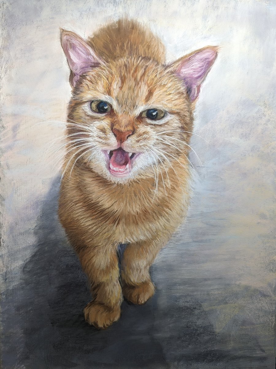 Meow product image (1)