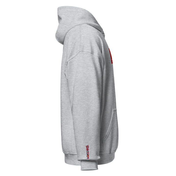 E18 Embroidered Logo Hoodie product image (14)