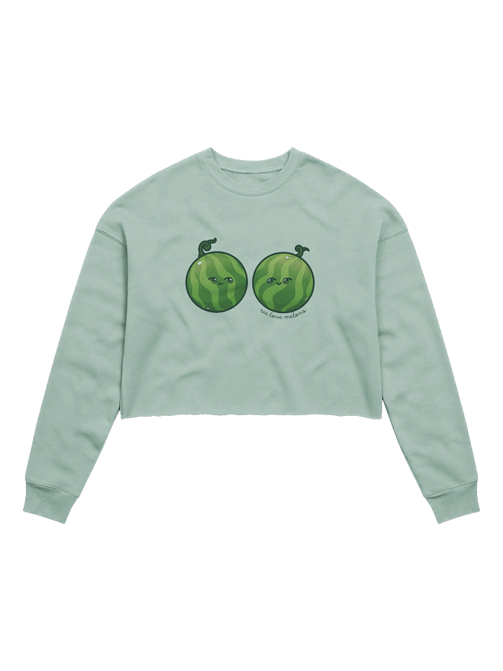 Crop Melon Sweatshirt product image (3)
