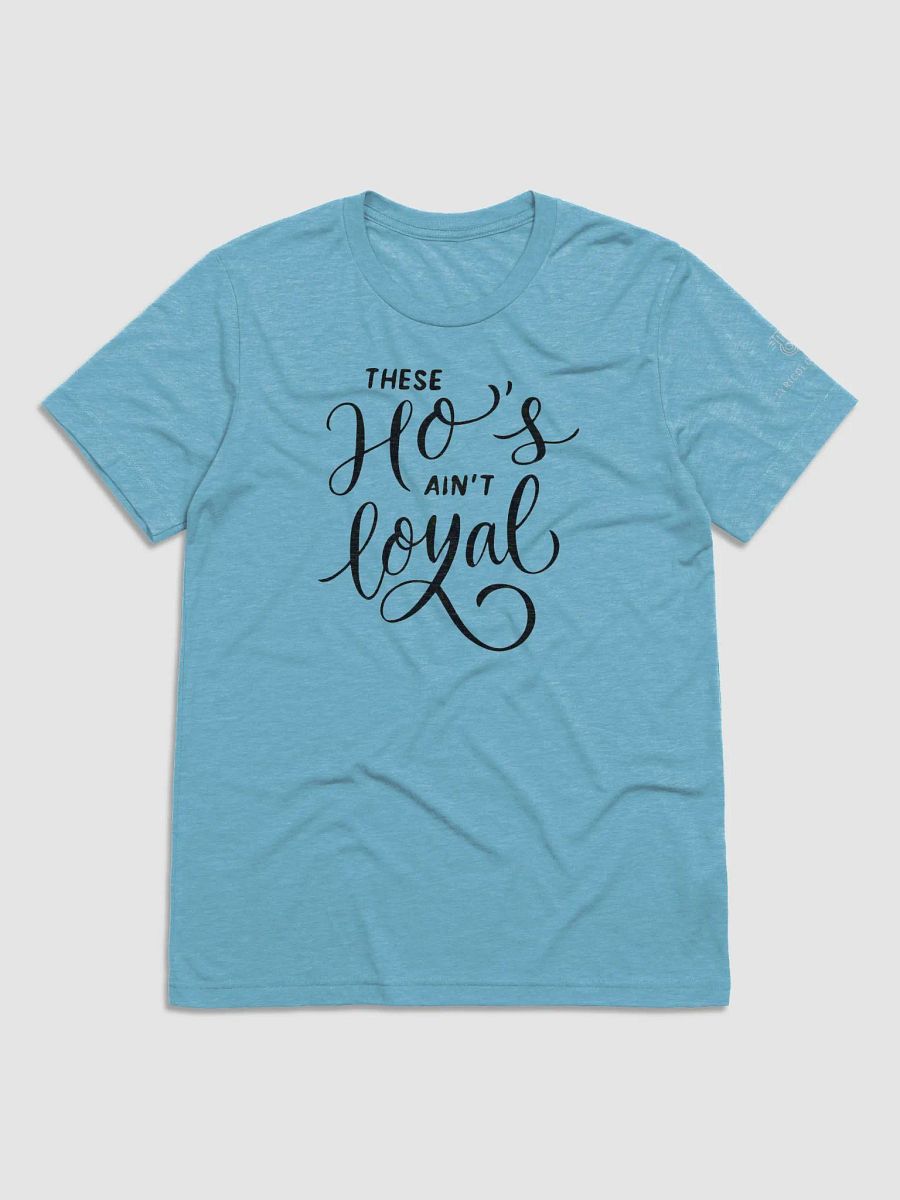 Aint Loyal product image (2)