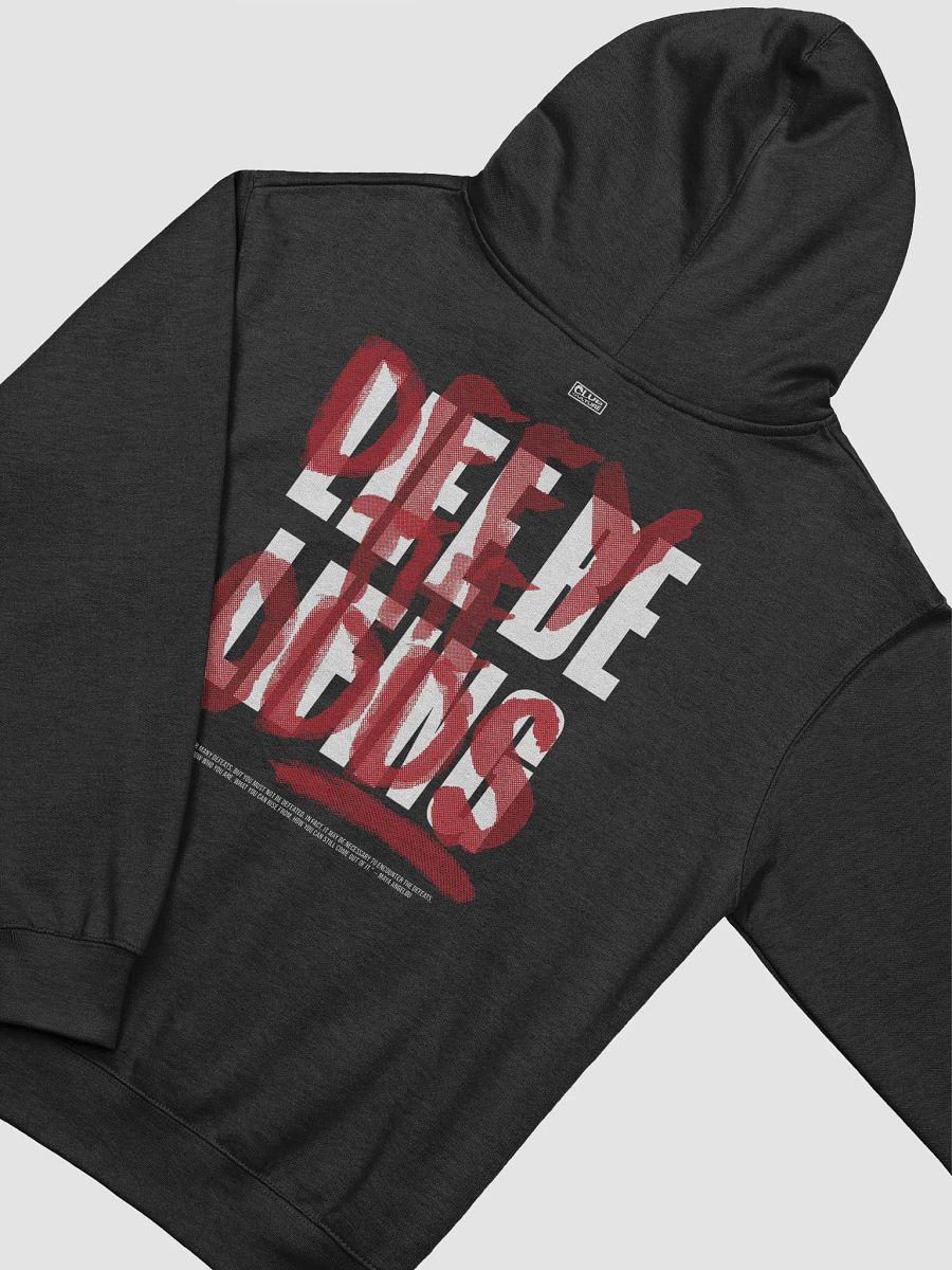 Defy the Odds Hoodie - Black product image (4)