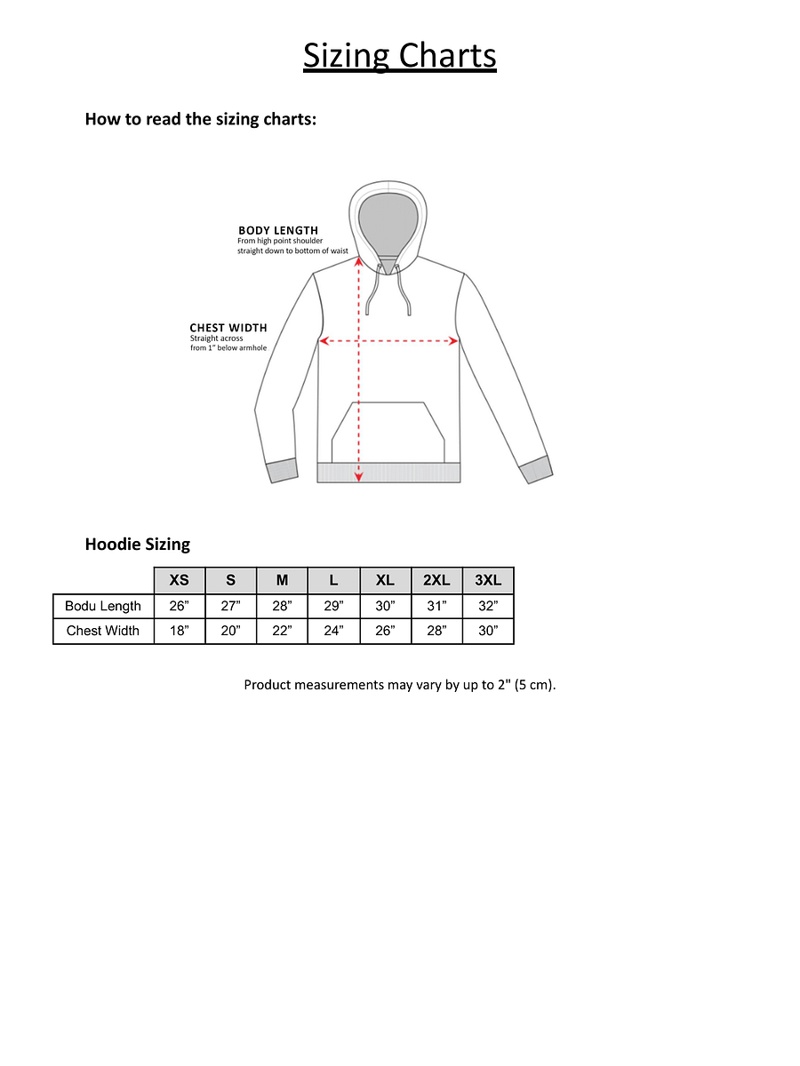 Next Level, Skyward Soar Relaxed Fit Hoodie product image (25)