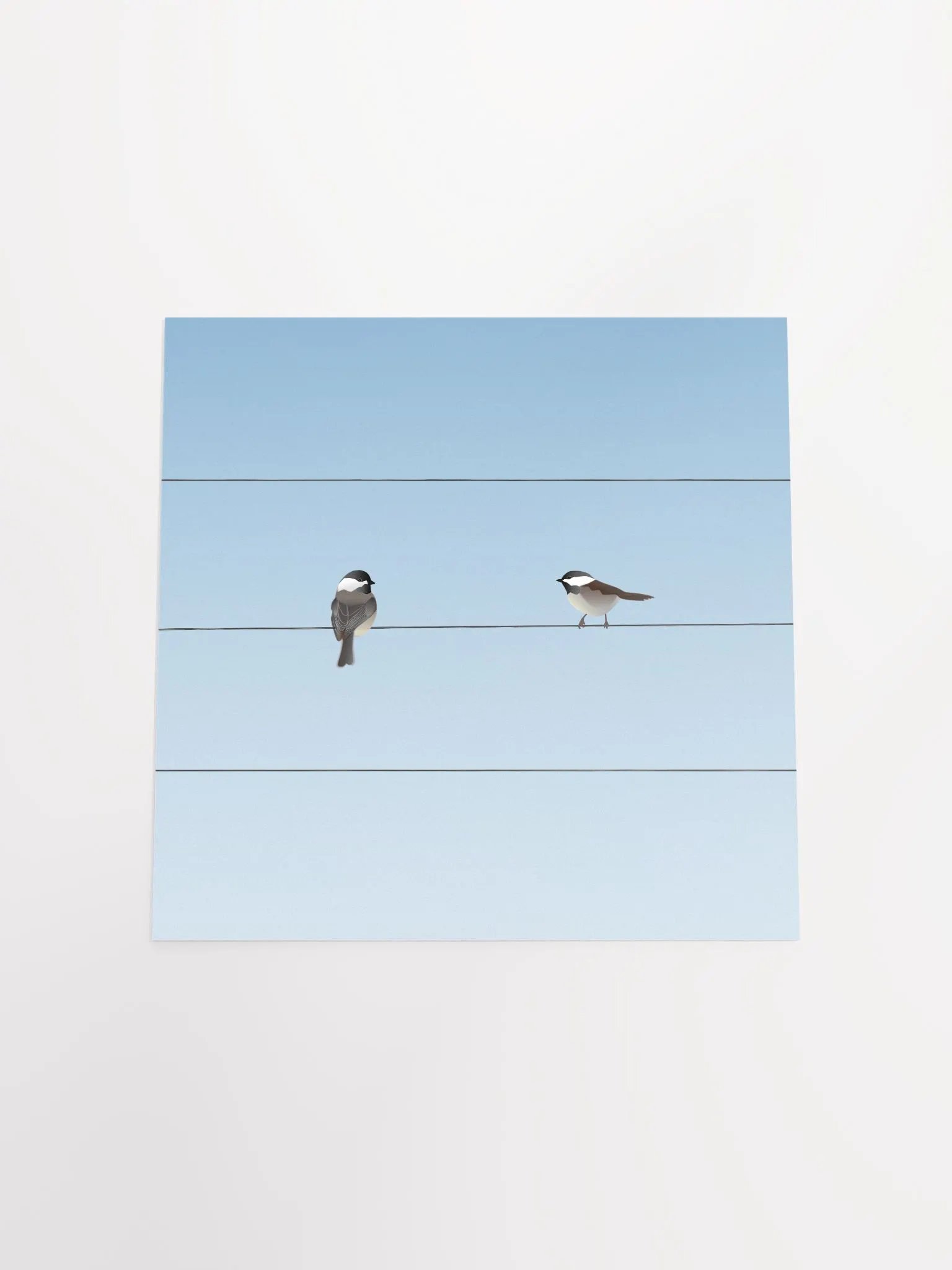 Two Birds on a Wire product image (4)