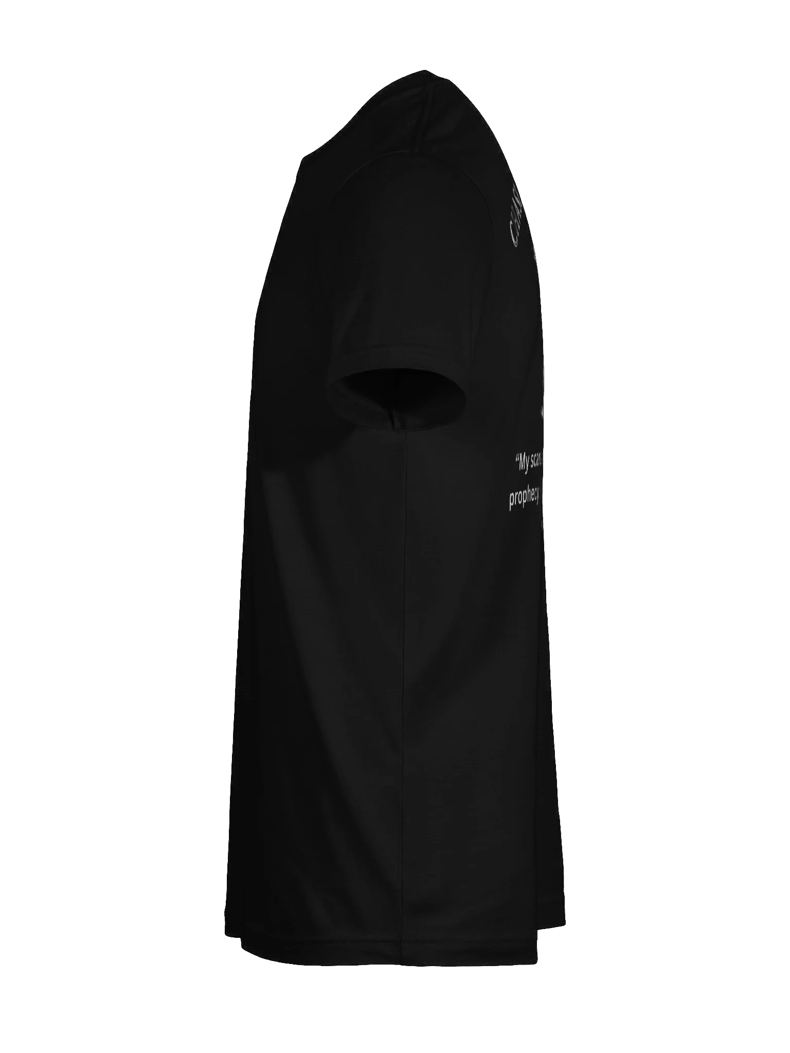 Raven Sigils Chase Greatness Tee product image (11)