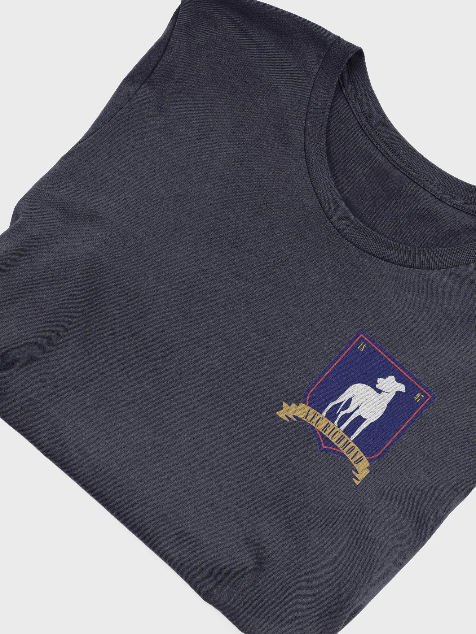 The dag shirt product image (5)