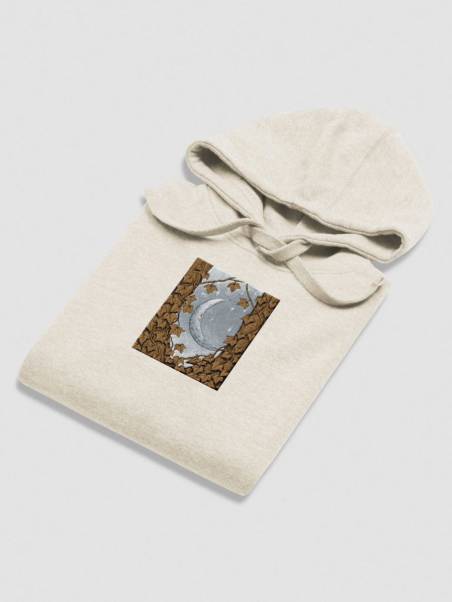 Starry Night Unisex Premium Hoodie product image (51)