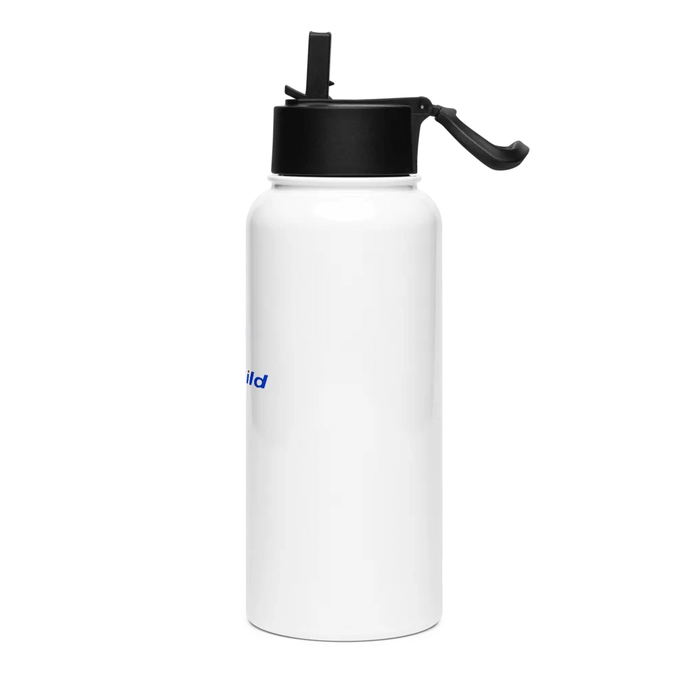 Stainless Steel Water Bottle with a Straw Lid (1) product image (3)