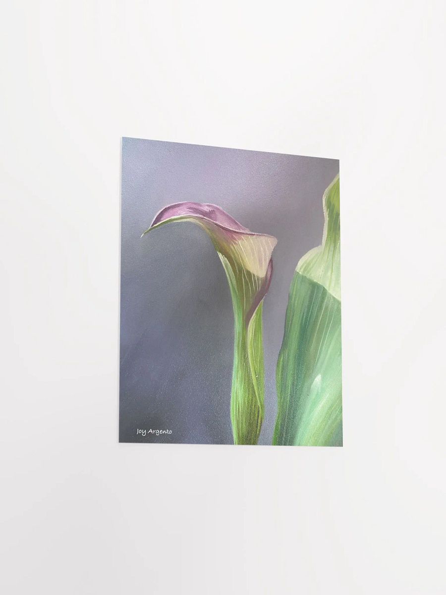 Calla Lily Print product image (4)