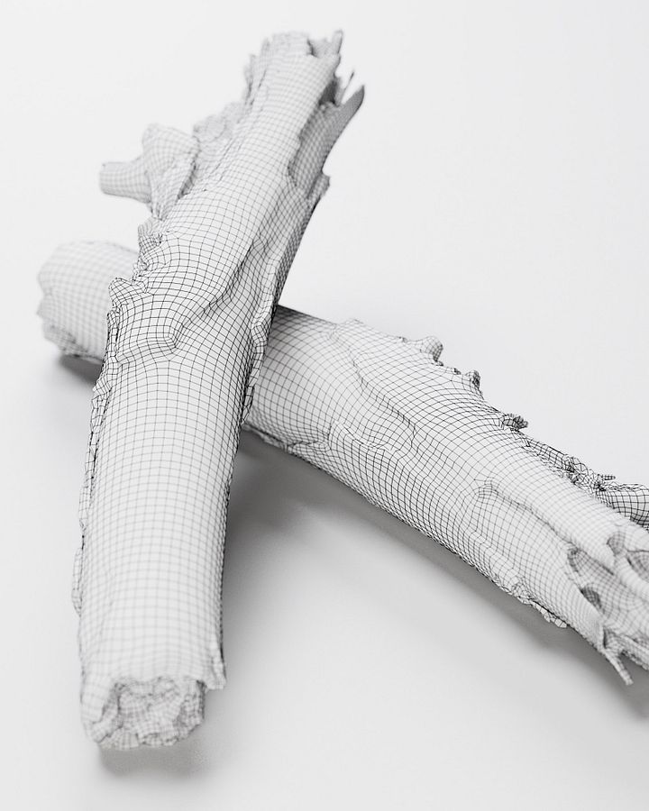 Wooden Stick 01 - 3D Scan product image (2)