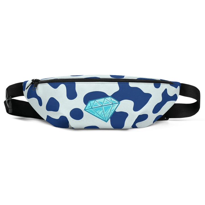 Diamond Fanny Pack product image (1)