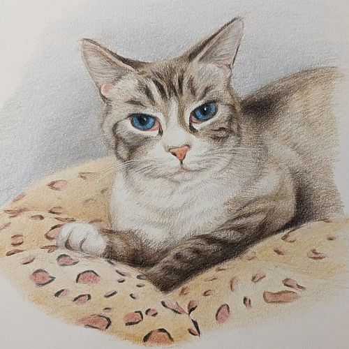 I did this one with color pencils.. It was an experiment for me.  Fun!!!! #colorpencilart #animalpainting #catlover #drawing ...