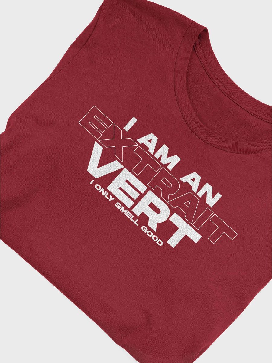 Extraitvert T-Shirt product image (18)