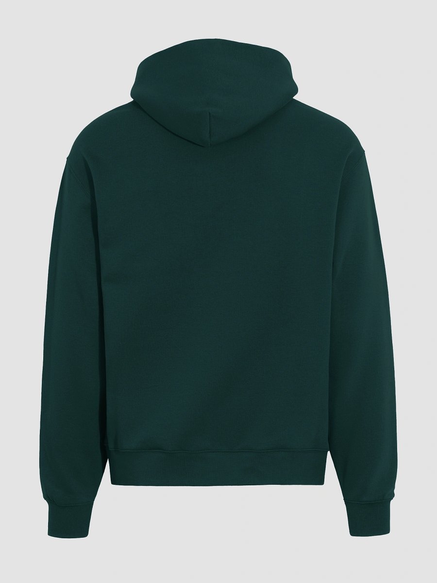 Soulful Palette Unisex Oversized Hoodie product image (5)