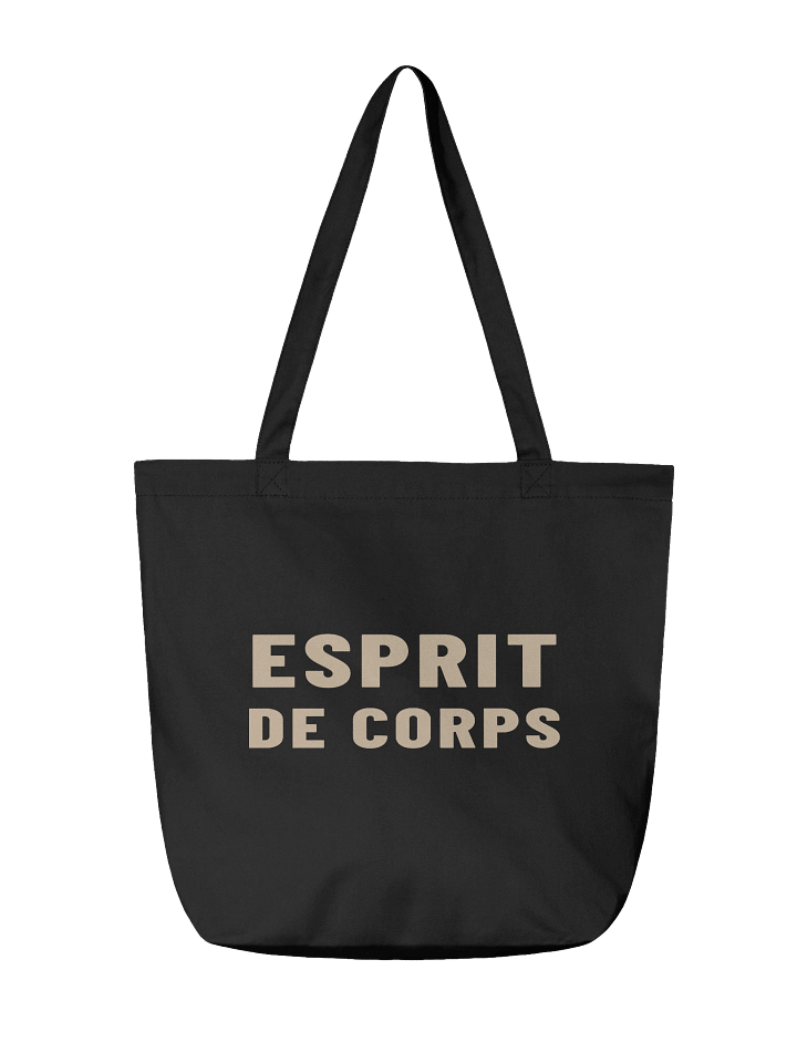 Esprit de Corps Everyday Tote product image (2)