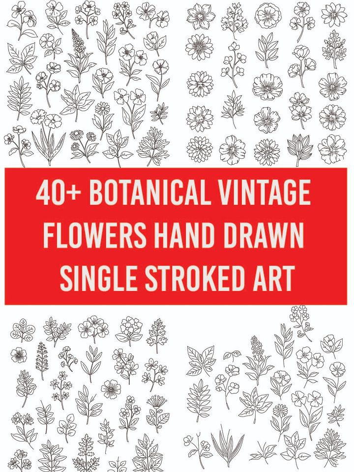 40+ Minimalist Botanical Illustrations - Single Line Art for Download product image (1)