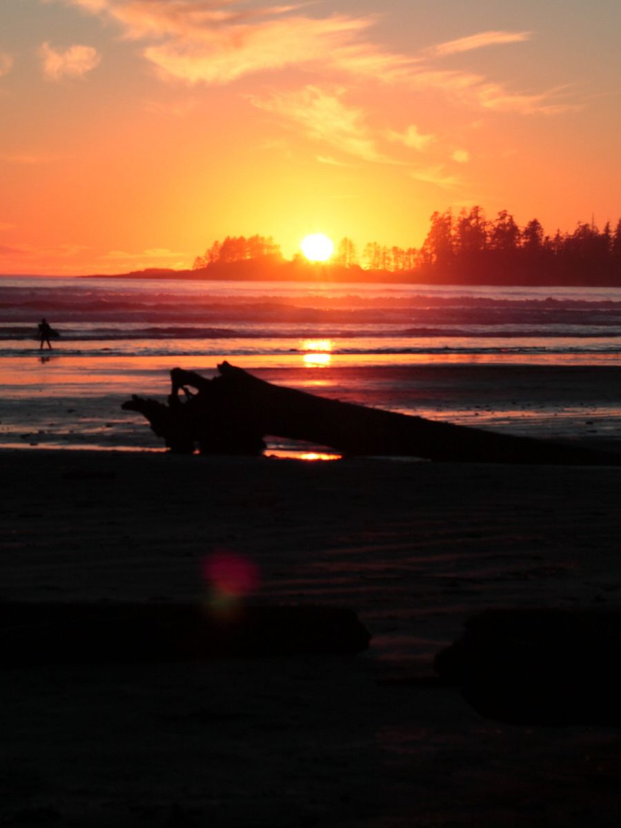 Wild Pacific Light product image (8)
