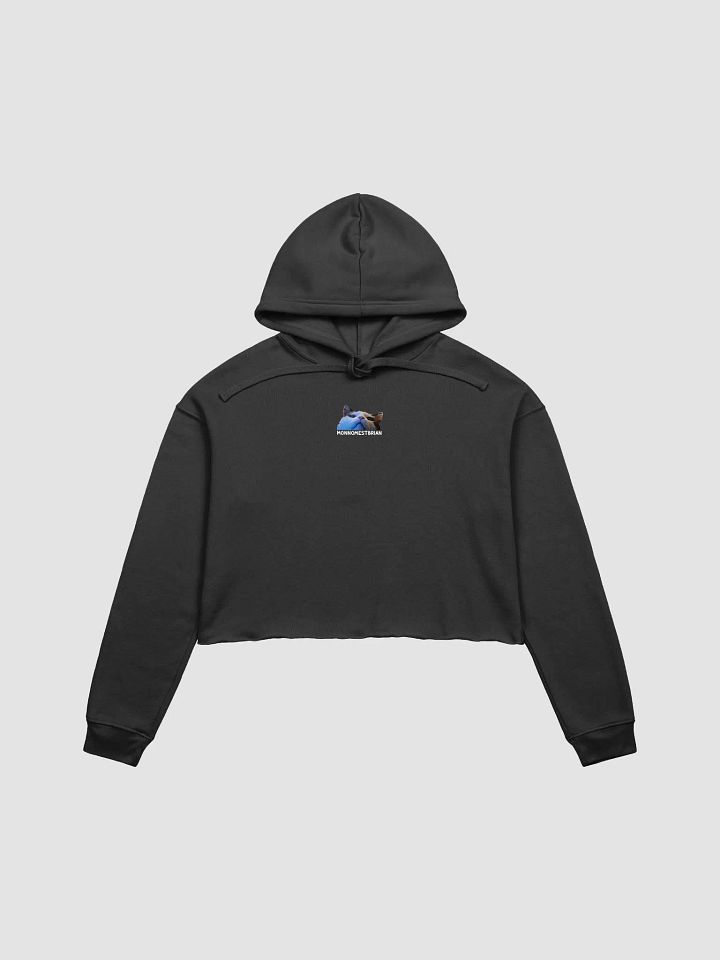 CROP HOODIE - MONNOMESTBRIAN product image (1)