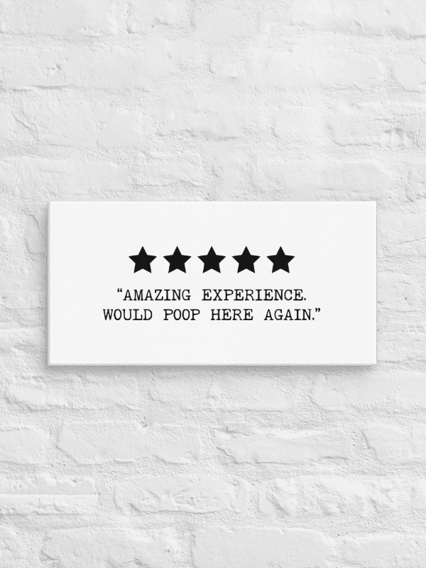 'Amazing Poop Experience' Canvas product image (1)