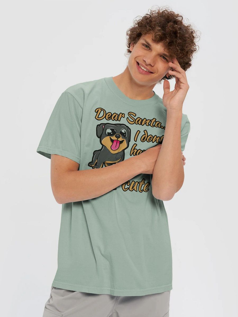 DEAR SANTA, I DON'T HAVE TO BE NICE, I'M CUTE! product image (65)