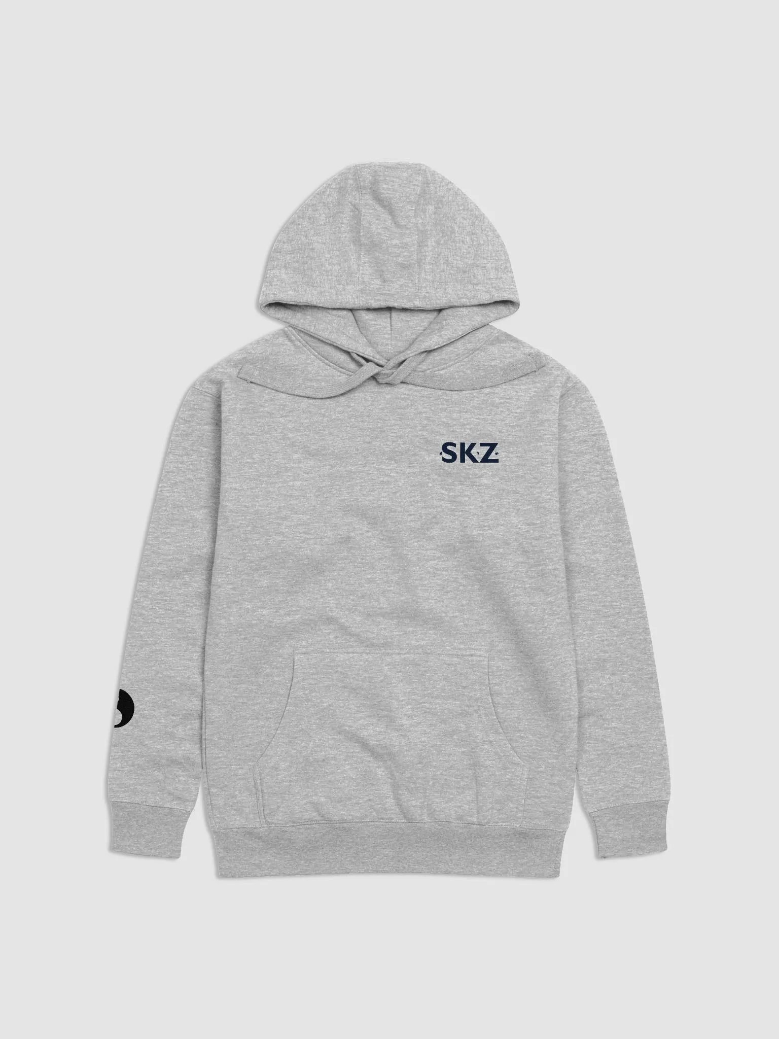Simple K-pop Light Colored Hoodie product image (1)