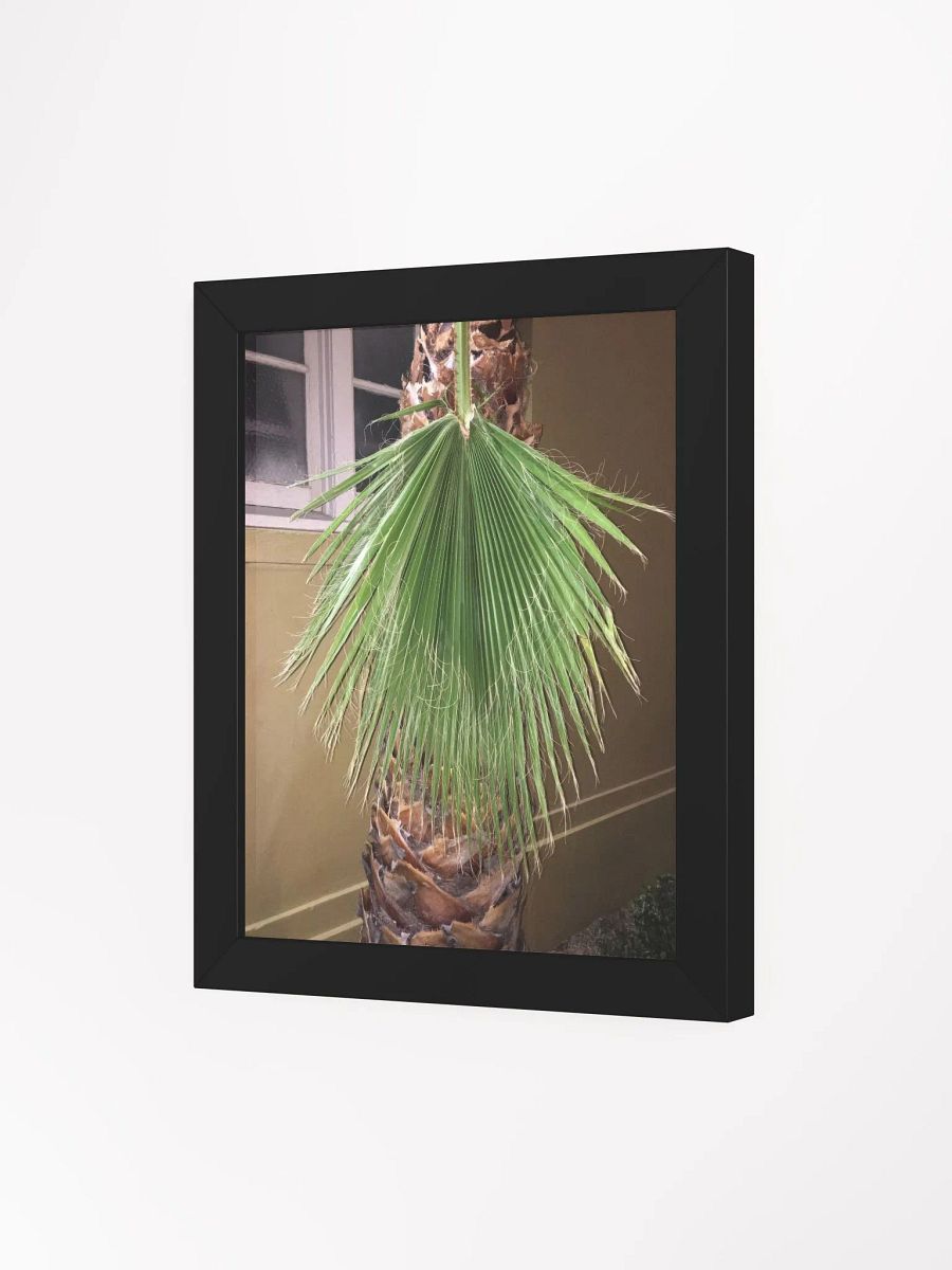 Lura product image (3)