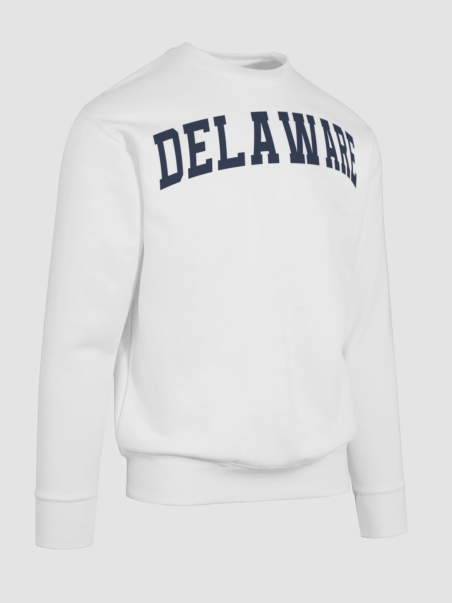 Delaware Vintage Varsity Premium Sweatshirt product image (100)