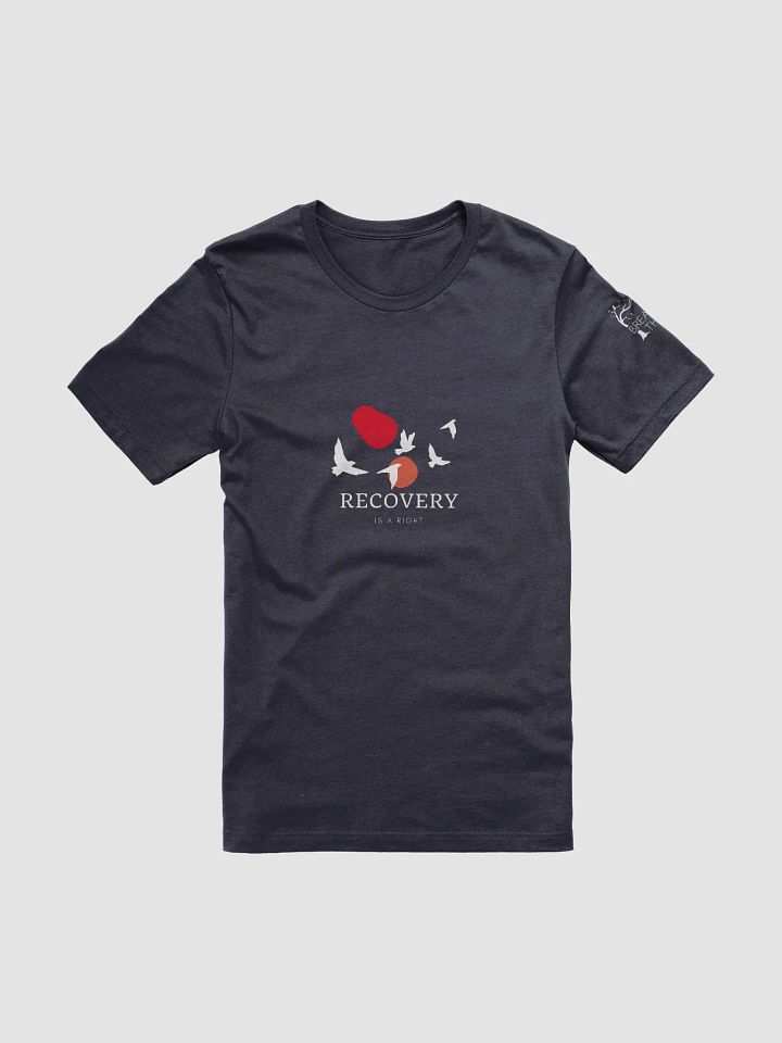 Recovery is a Right product image (1)