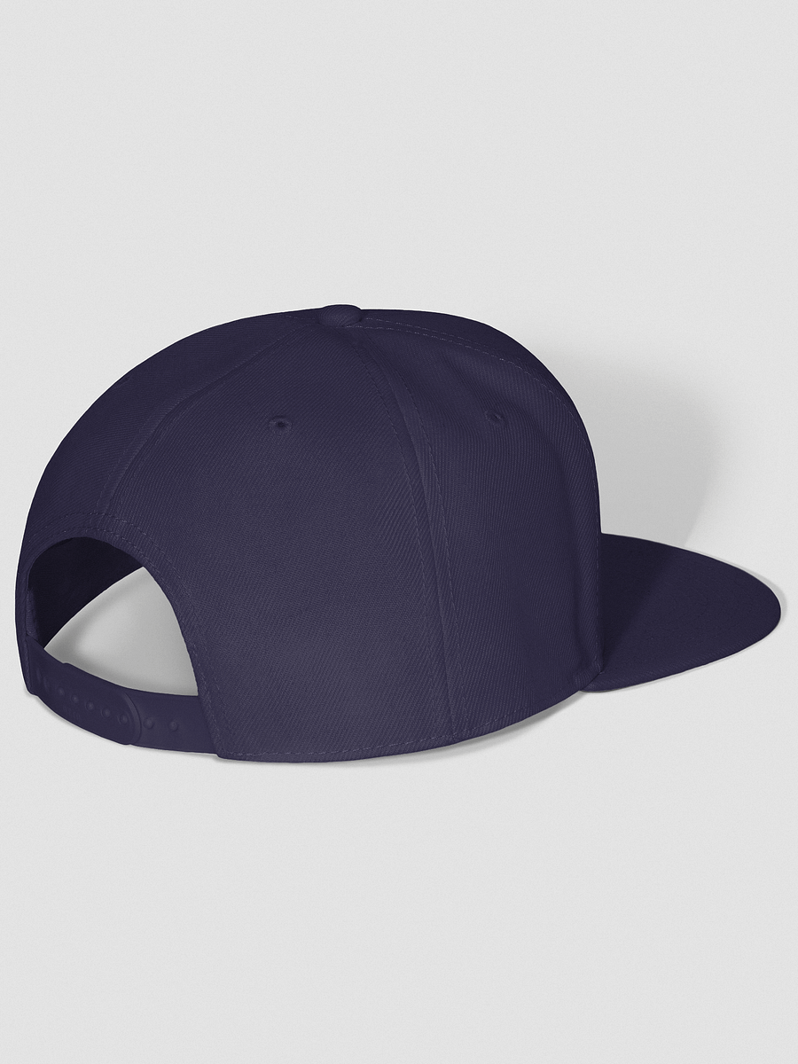 Bold 346 VIBE Snapback Cap product image (32)