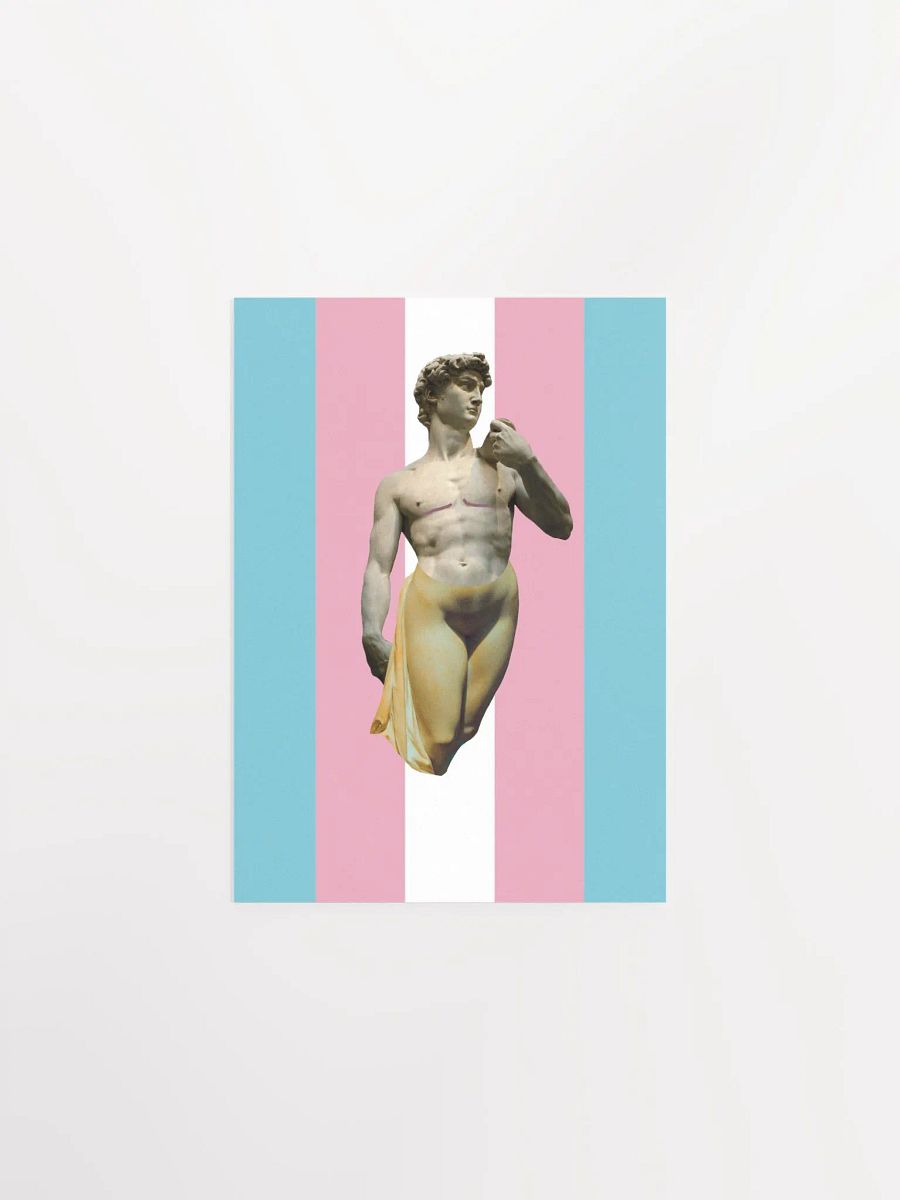 Trans Day of Visibility 3 Poster product image (1)