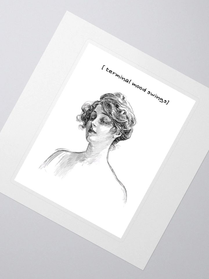Terminal mood swings product image (5)