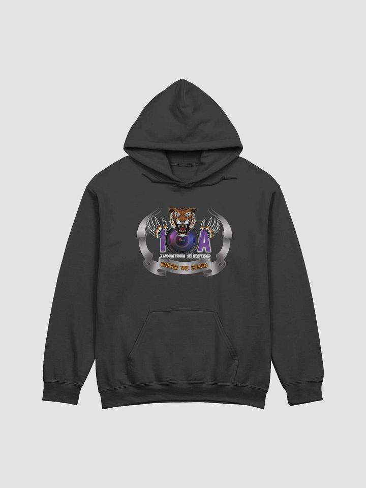Ladies IA Hoodie product image (2)